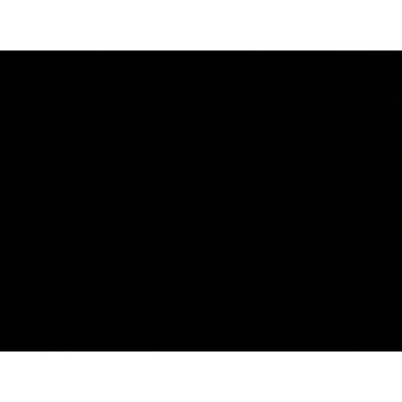 MOTHER Jeans The Insider Crop Step Fray Sz 28 Raw Hem (29x25) Wicked Wildflowers - Picture 4 of 12